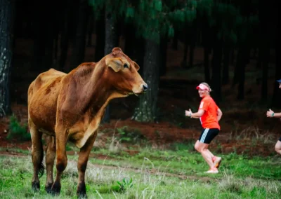 Glencairn Trail Run 2026 Day 1 runners in the Southern Drakensberg