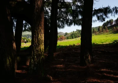Glencairn Trail Run 2026 Day 1 runners in the Southern Drakensberg